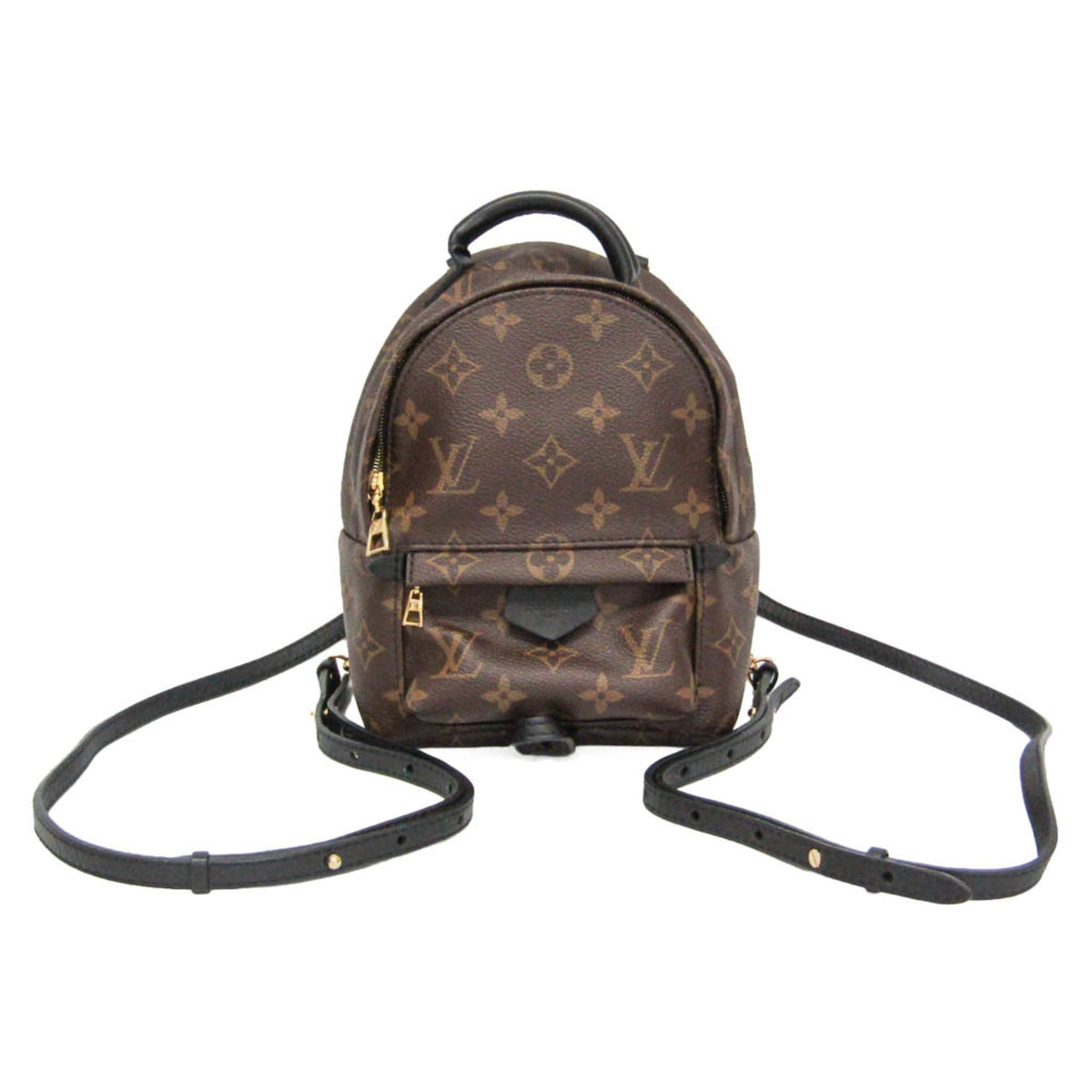 Louis Vuitton Monogram Palm Springs Mini