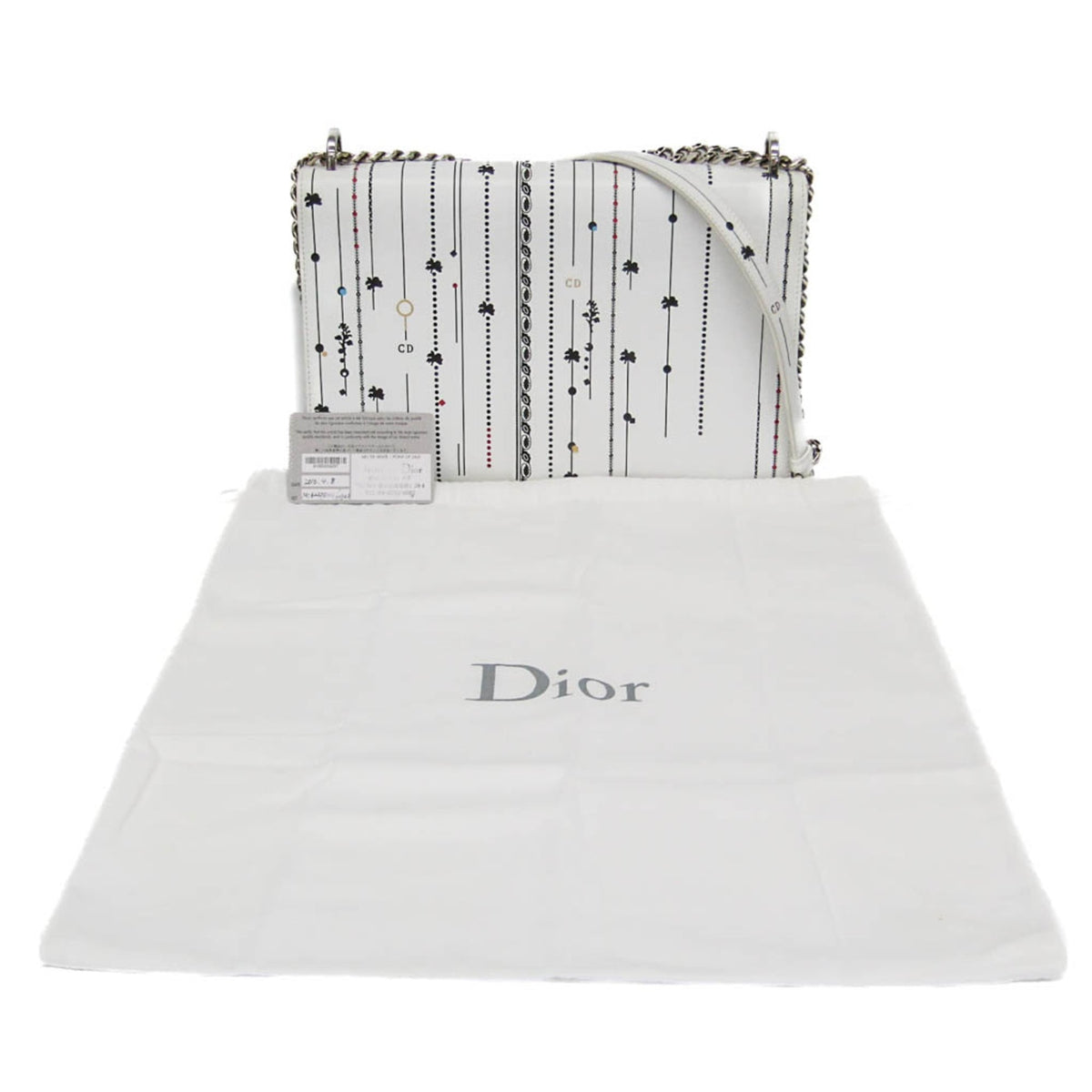 Christian Dior Diorama · Chain Shoulder Bag