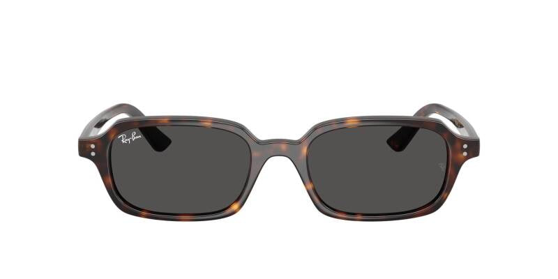 Ray-Ban 0RB4455 13598752 Men's Sunglasses Grey Lenses 52mm